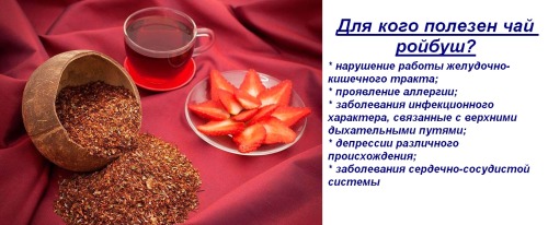 Ройбуш  чай